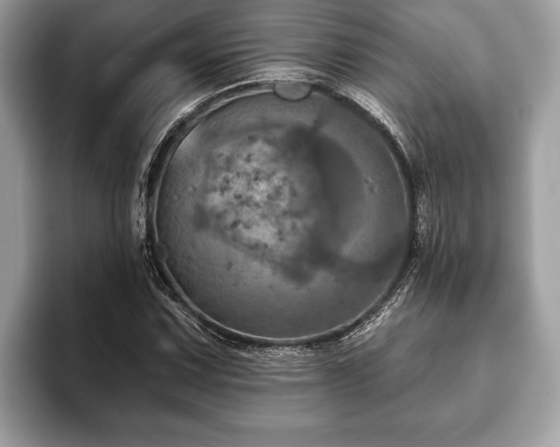 X0000093401067200710190919