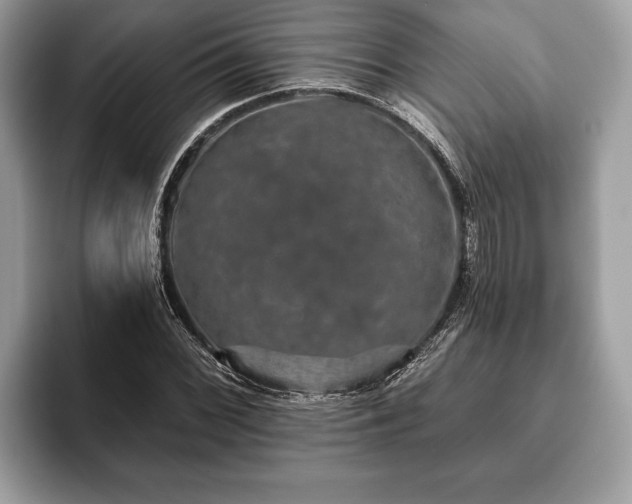 X0000093401068200710190919