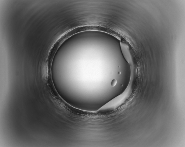 X0000093401069200710190919