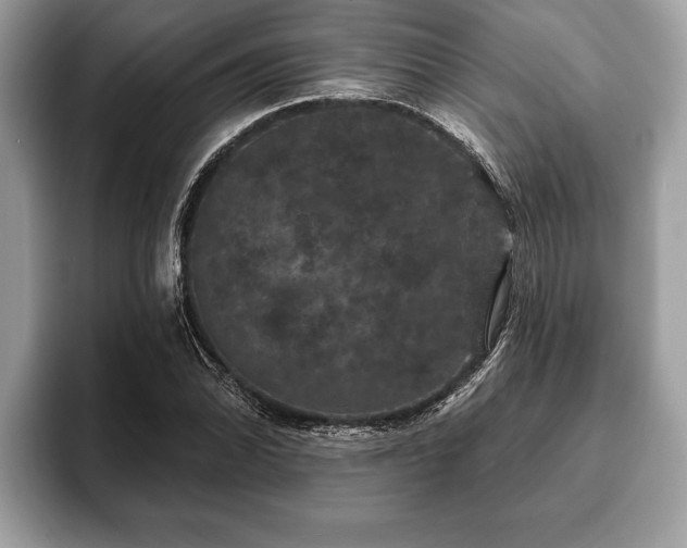X0000093401070200710190919