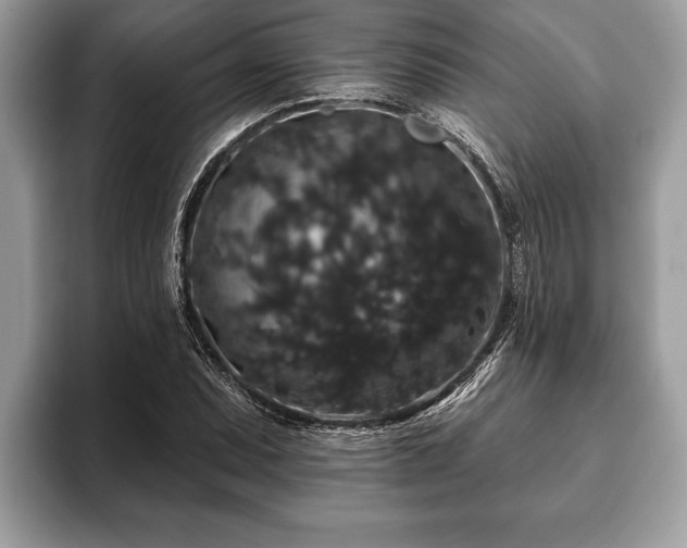 X0000093401071200710190919