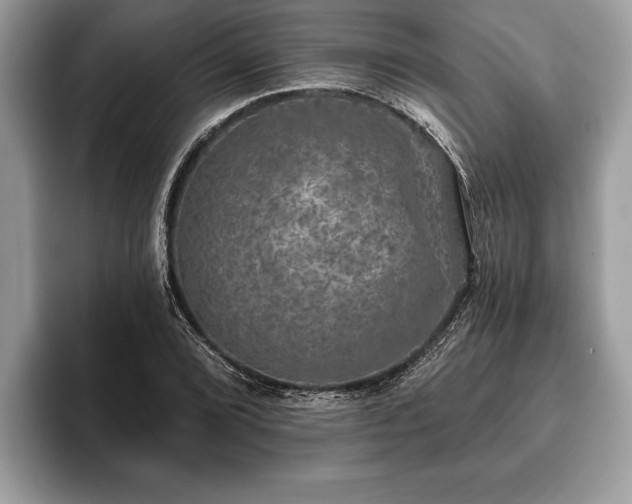 X0000093401072200710190919