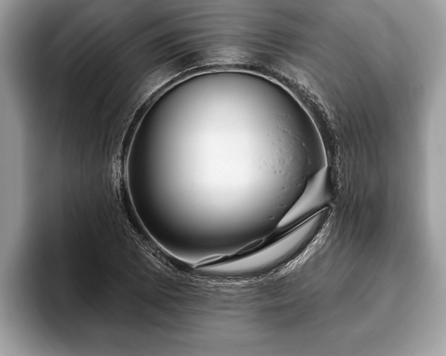 X0000093401073200710190919