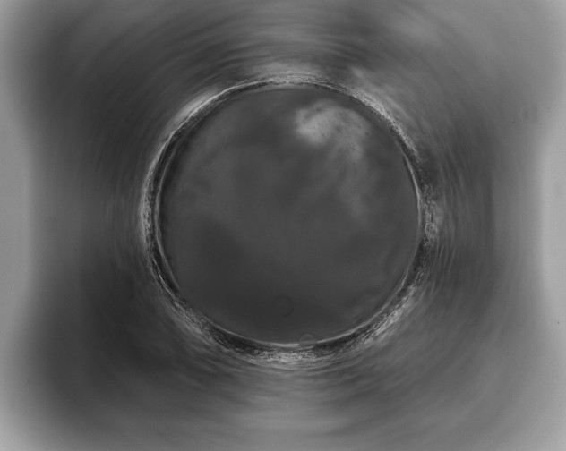 X0000093401074200710190919