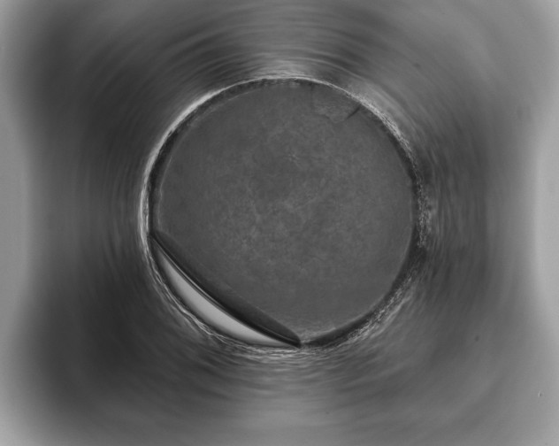 X0000093401076200710190919