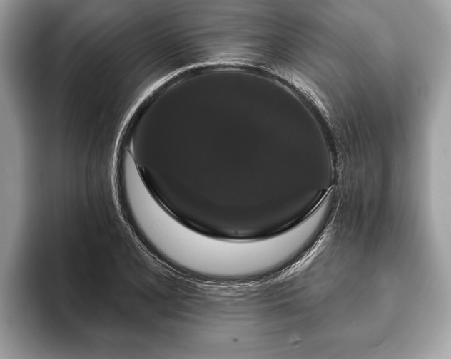 X0000093401077200710190919