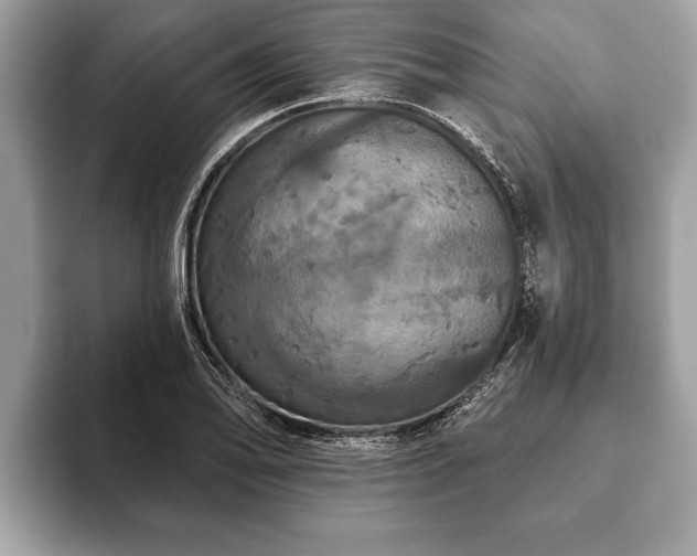 X0000093401078200710190919