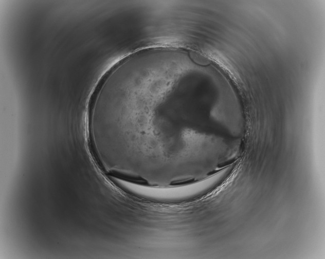 X0000093401079200710190919
