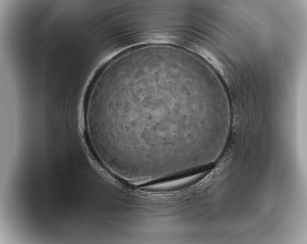 X0000093401080200710190919