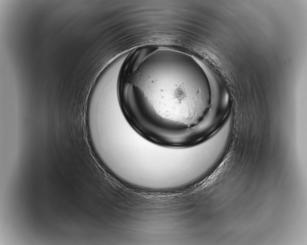 X0000093401081200710190919