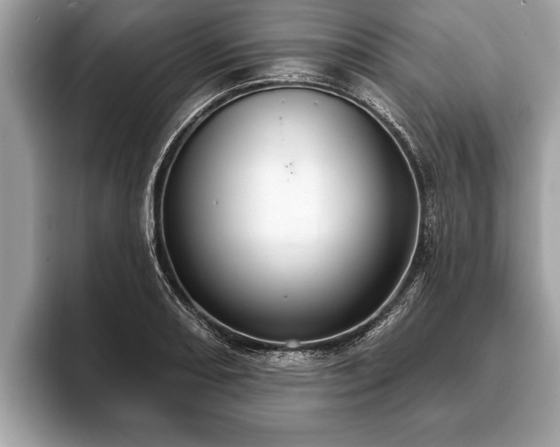 X0000093401082200710190919