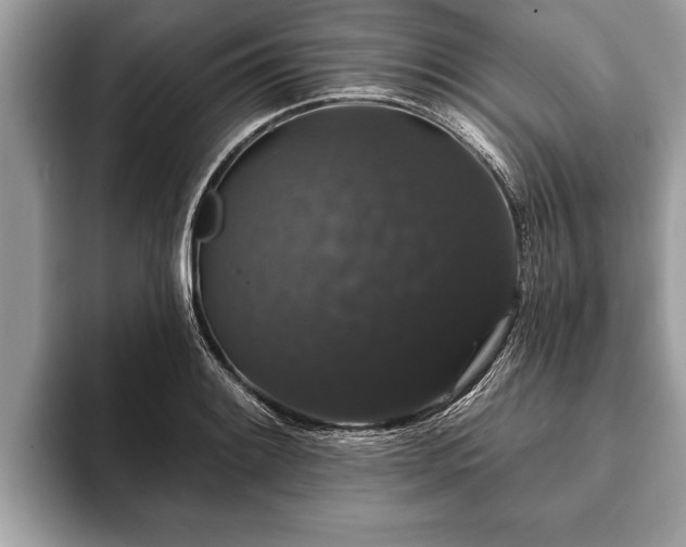 X0000093401084200710190919