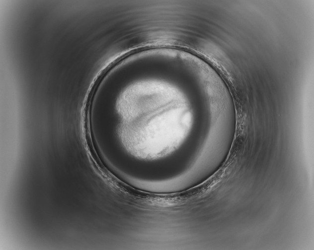 X0000093401086200710190919