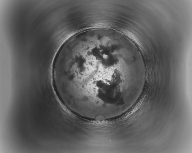 X0000093401087200710190919