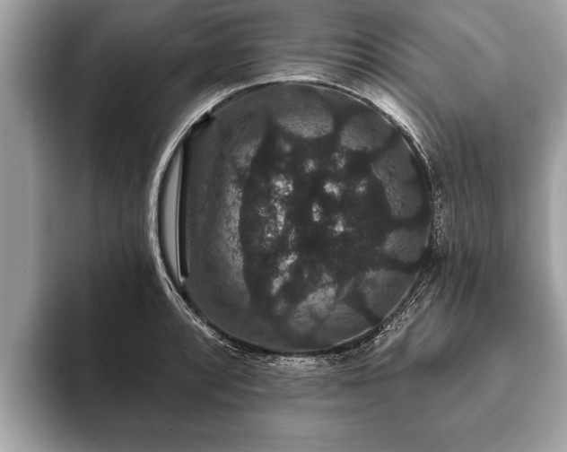 X0000093401088200710190919