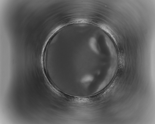 X0000093401090200710190919
