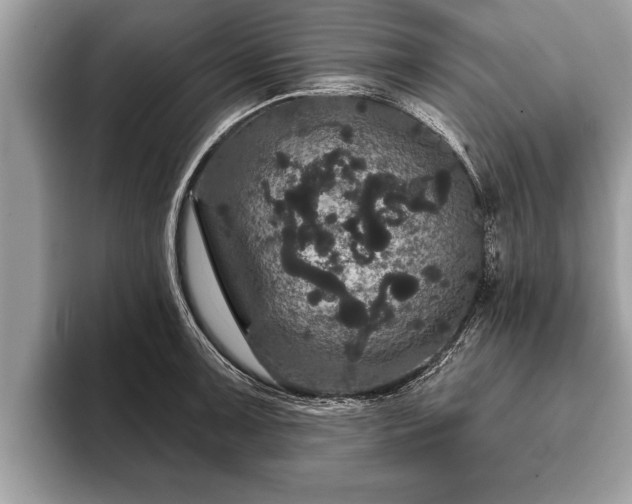 X0000093401091200710190919
