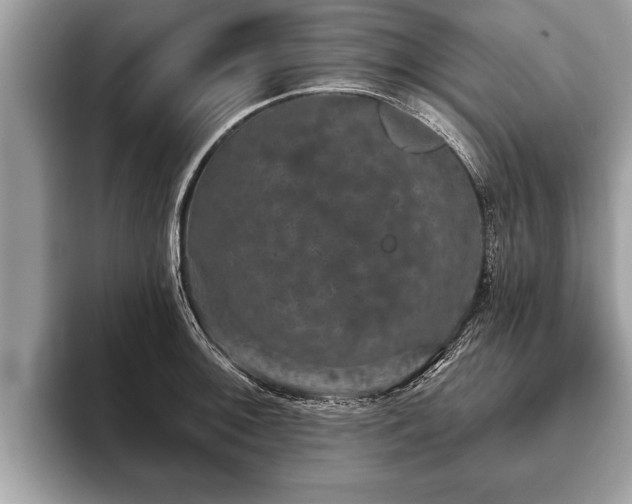 X0000093401092200710190919