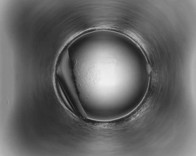 X0000093401093200710190919