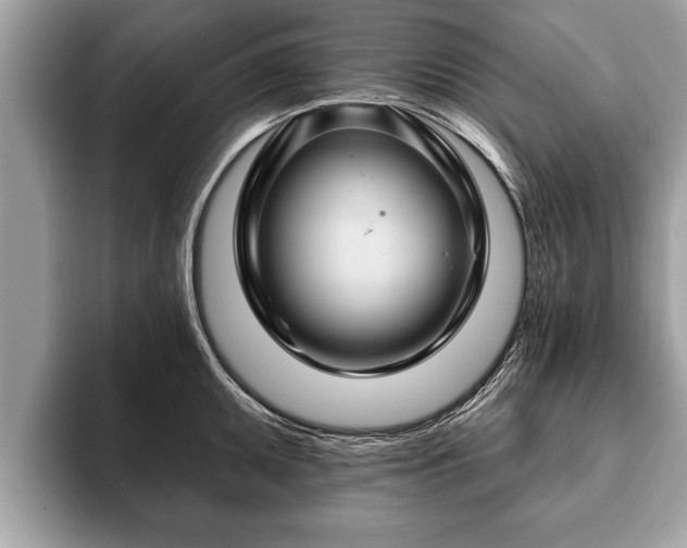 X0000093401095200710190919