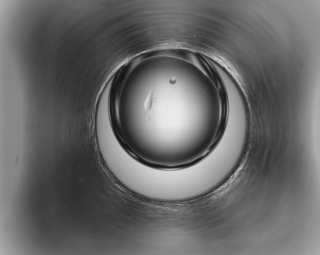 X0000093401097200710190919