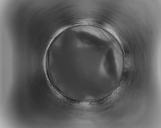 X0000093401098200710190919