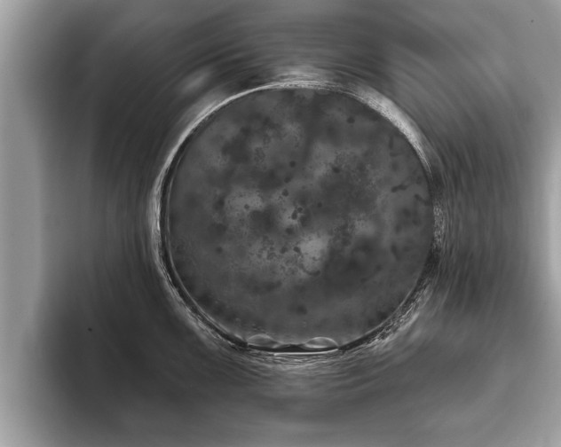 X0000093401099200710190919
