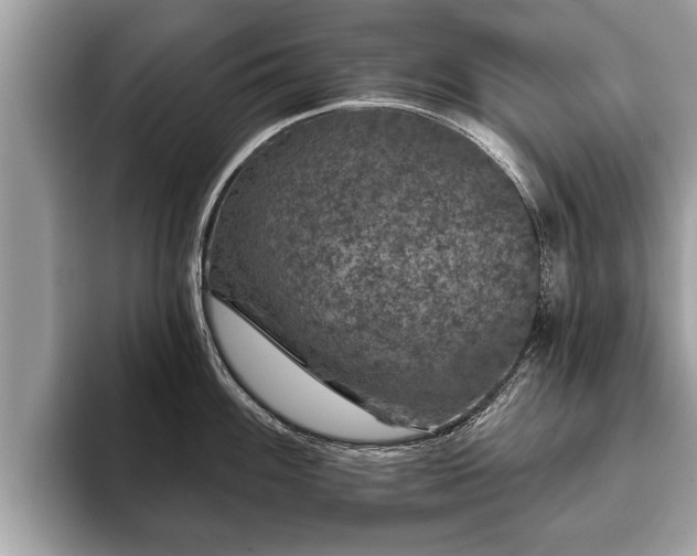 X0000093401100200710190919