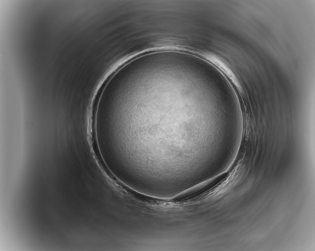 X0000093401101200710190919