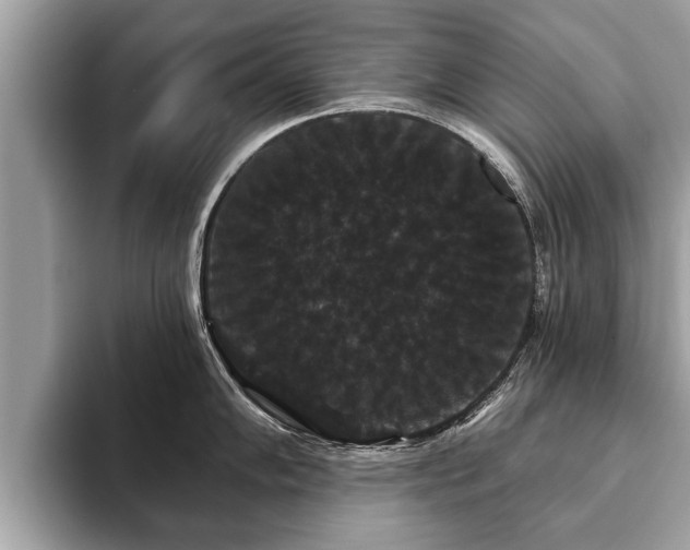 X0000093401102200710190919