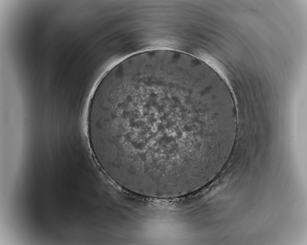 X0000093401104200710190919