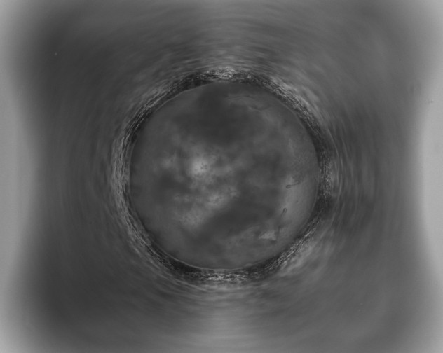 X0000093401105200710190918