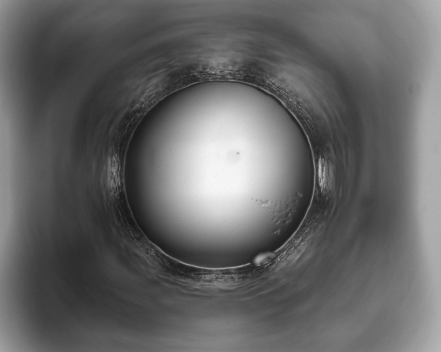 X0000093401107200710190918