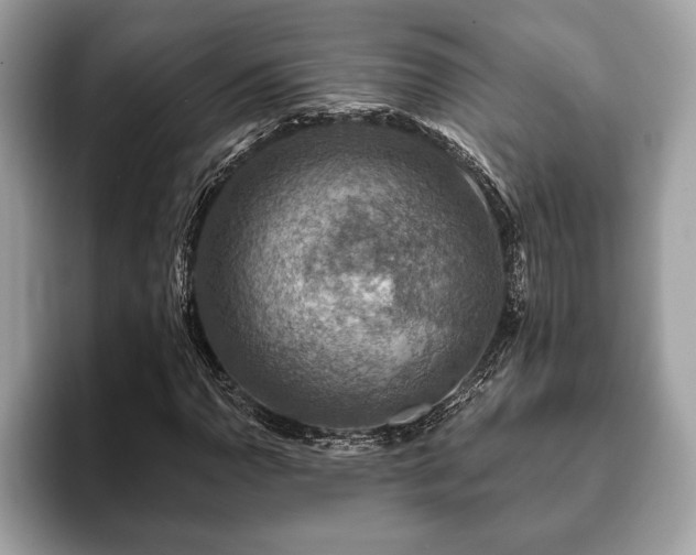 X0000093401110200710190918