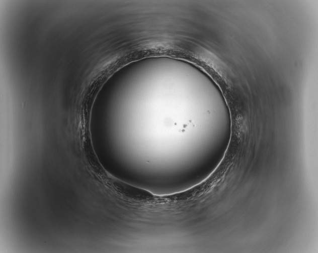 X0000093401111200710190918