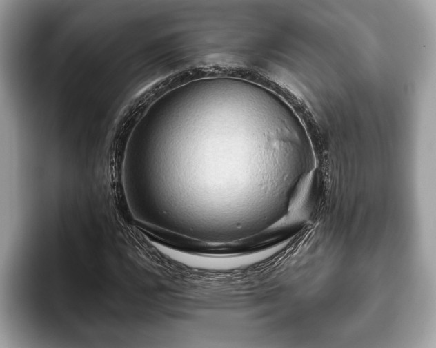 X0000093401112200710190918