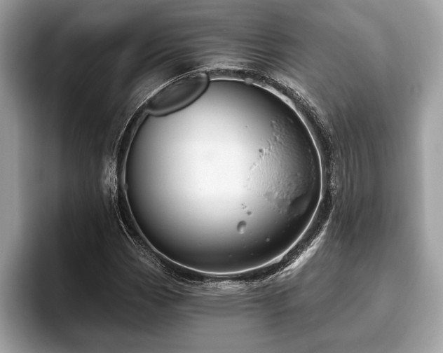 X0000093401113200710190918