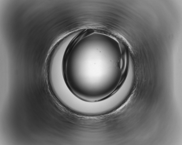 X0000093401114200710190918