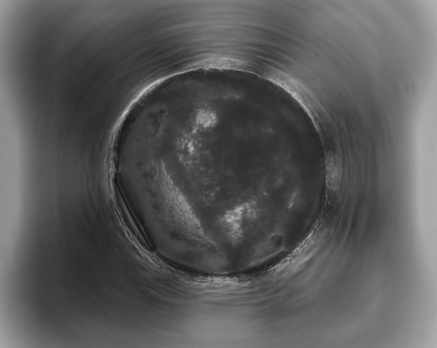 X0000093401115200710190918