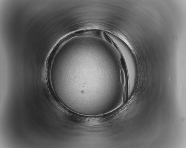 X0000093401116200710190918