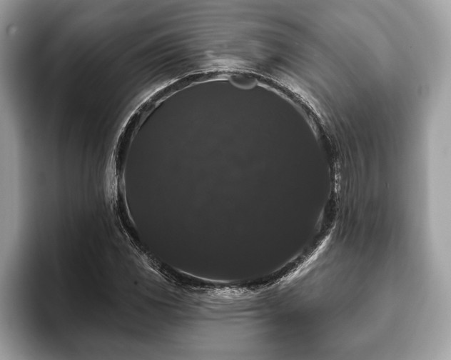 X0000093401117200710190918