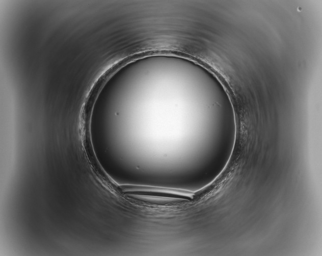 X0000093401119200710190918