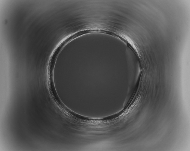 X0000093401120200710190918