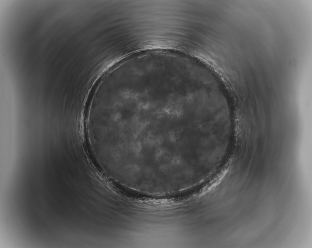 X0000093401121200710190918