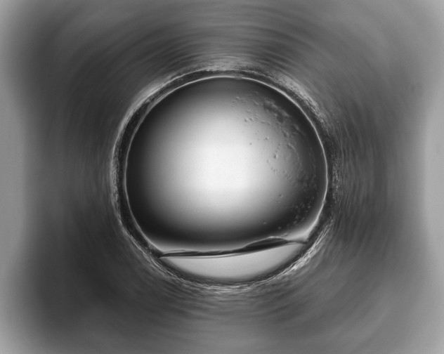 X0000093401122200710190918