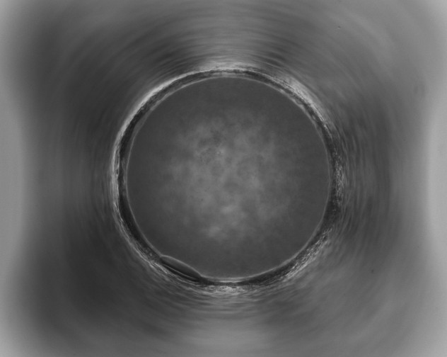 X0000093401124200710190918