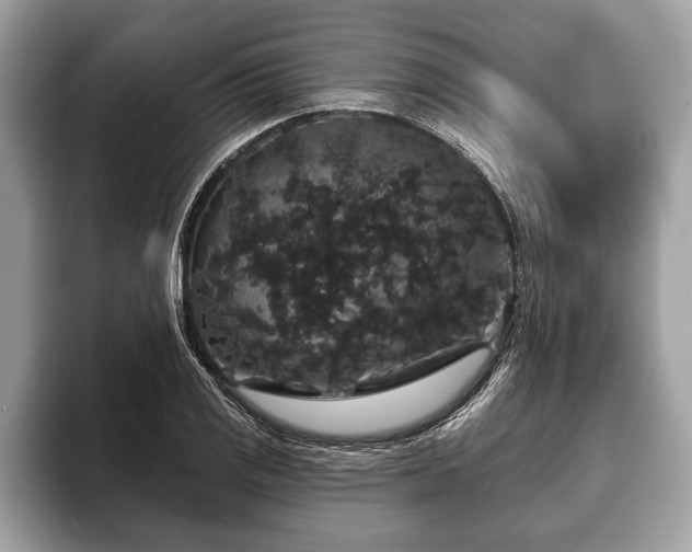 X0000093401125200710190918
