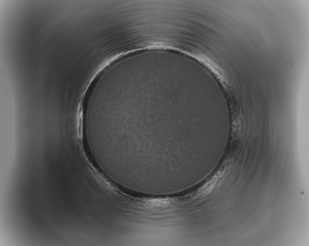 X0000093401126200710190918