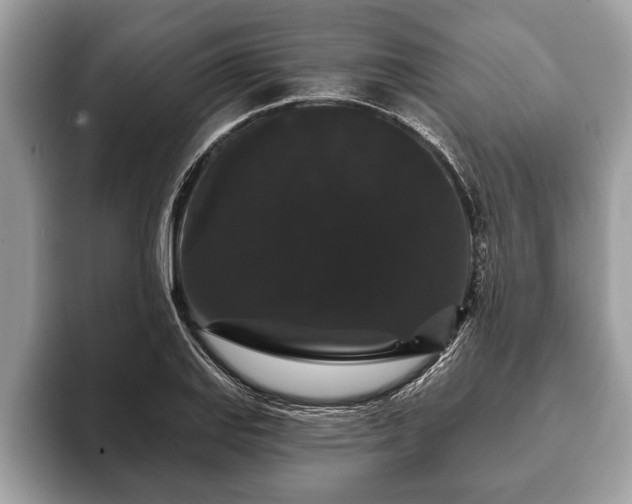 X0000093401127200710190919