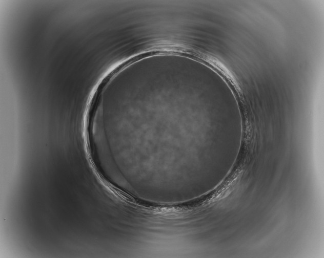 X0000093401128200710190919